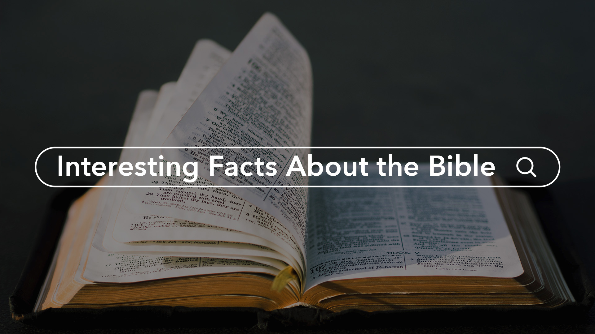 what-is-the-shortest-chapter-in-the-bible-other-interesting-facts